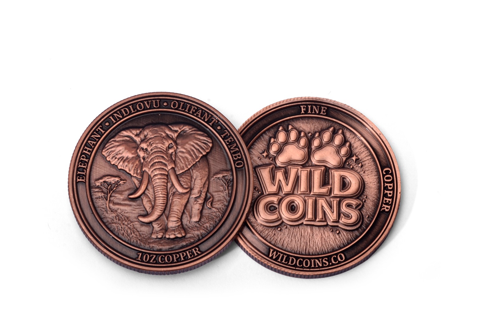 Elephant Medallion front and back