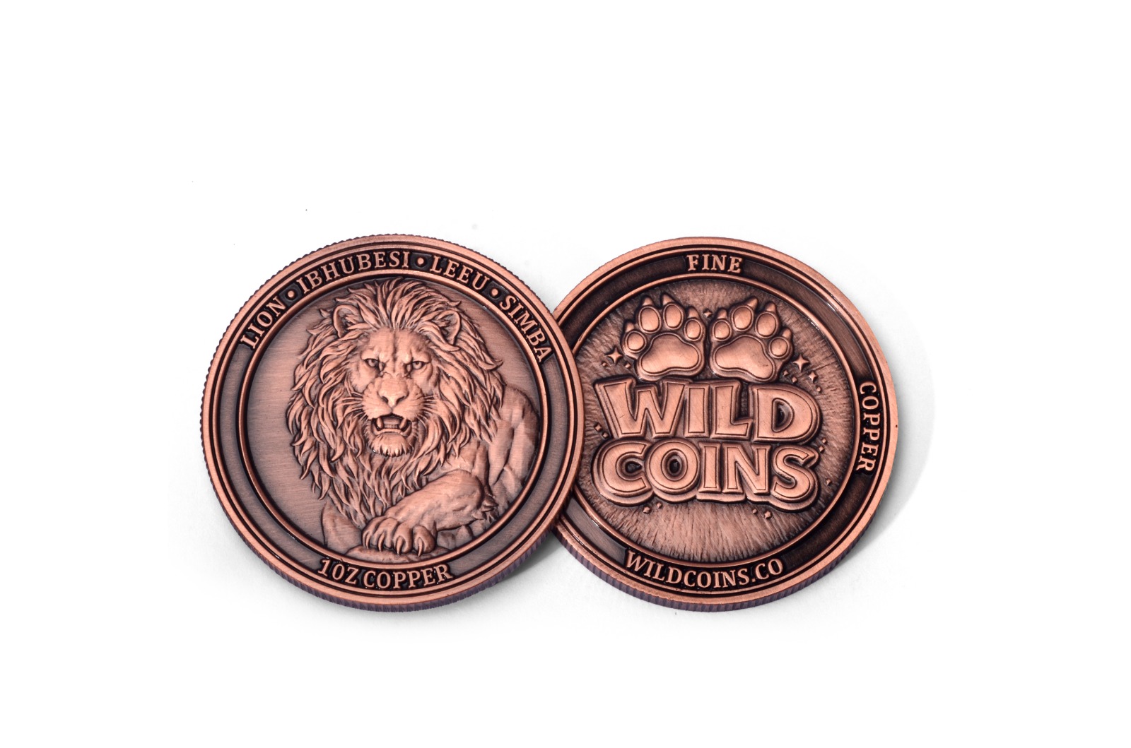 Lion Medallion — front and back